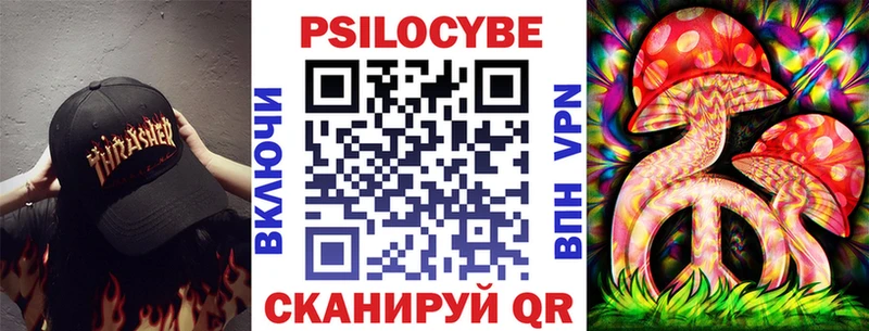 как найти закладки  Протвино  Псилоцибиновые грибы Psilocybe 