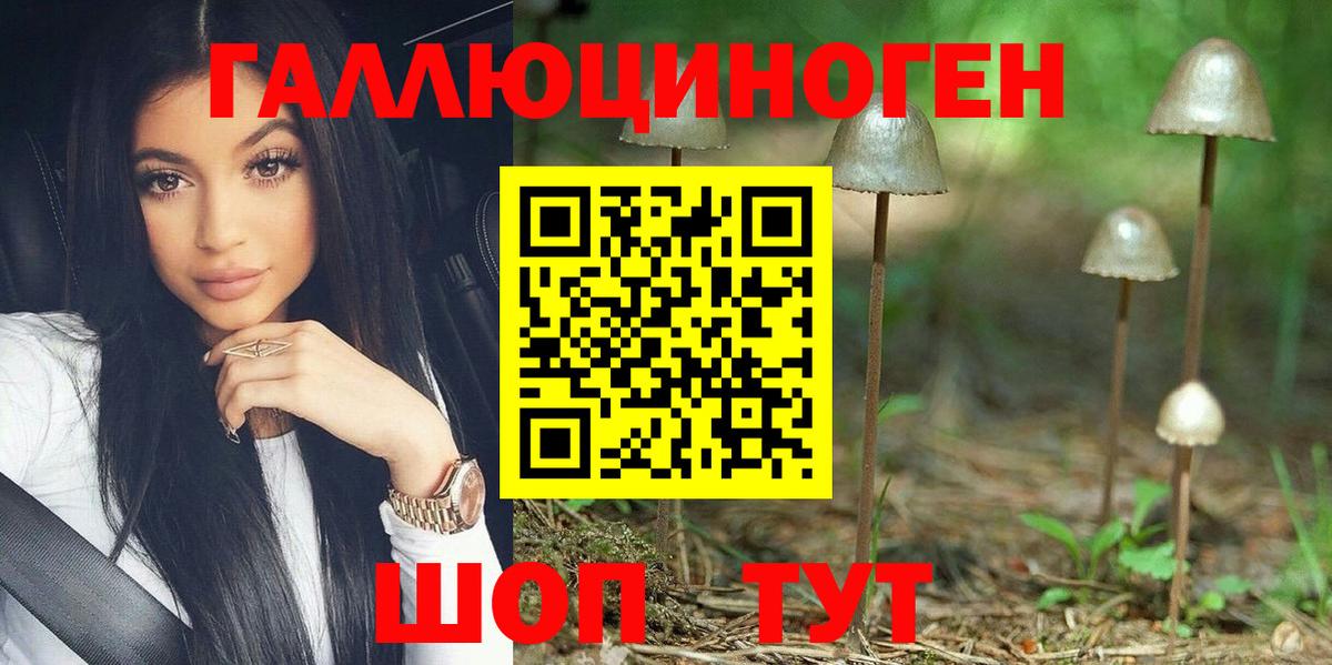 Галлюциногенные грибы Psilocybe  купить наркотик  Галлюциногенные грибы Magic Shrooms  Протвино  Вход с VPN 